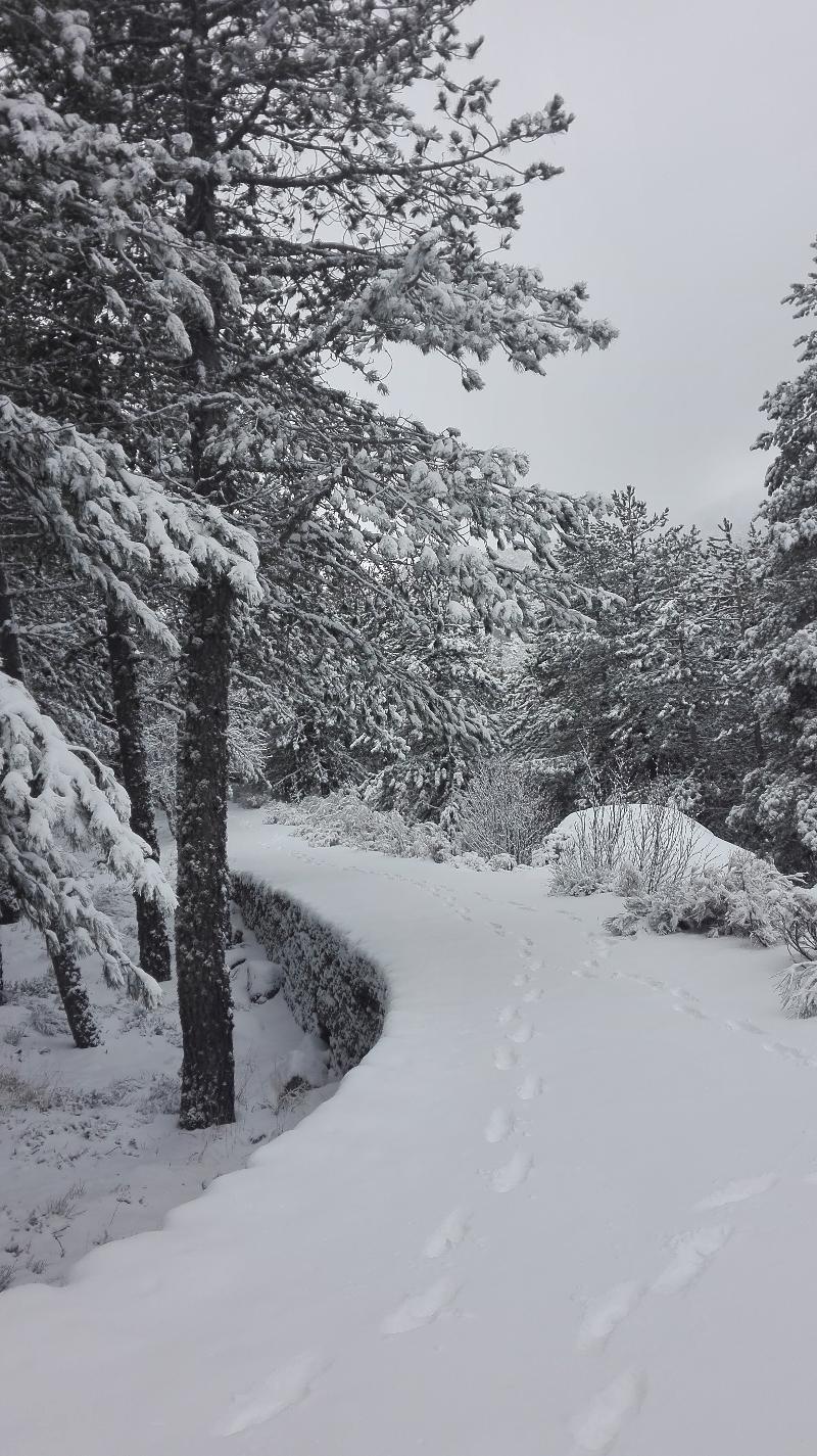 Pousada Da Serra Da Estrela Covilhã Eksteriør billede